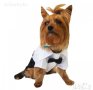 Официален костюм за куче Кучешки смокинг Кучешки дрехи Дрехи за куче Официални кучешки дрехи