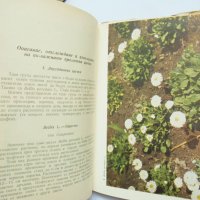 Книга Пролетни цветя - Васил Ангелиев 1964 г., снимка 3 - Други - 32952603