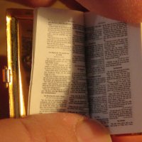 старинна миниатюрна немска библия - много страници, красота и позлата за ценители и колекционери . , снимка 6 - Антикварни и старинни предмети - 34625548