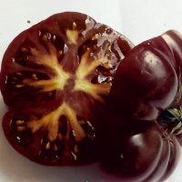 Семена за шоколадови домати, снимка 2 - Сортови семена и луковици - 44090551