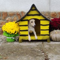 Къща за куче - Маша и Мечокът, Къщи за кучета ,Колиби за кученца, снимка 5 - За кучета - 39263812