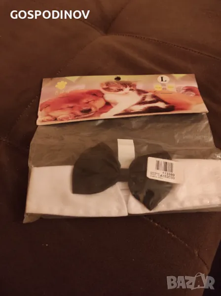 Папионка за куче, снимка 1