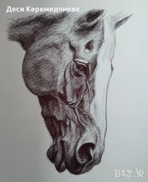 графика, снимка 1