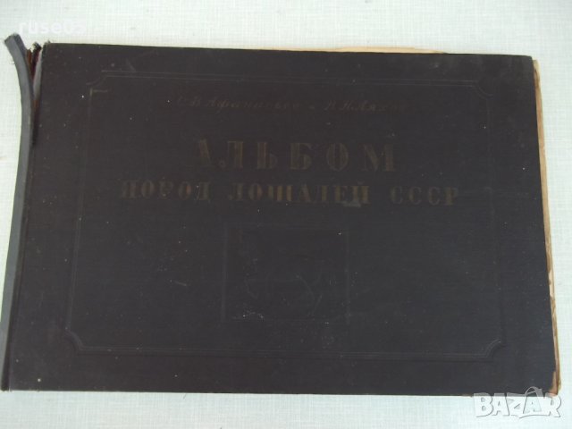 Книга "Альбом пород лошадей СССР - С.В.Афанасьев" - 186 стр.