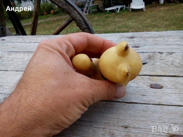 Стара гумена играчка,катерица, снимка 5 - Антикварни и старинни предмети - 27063768