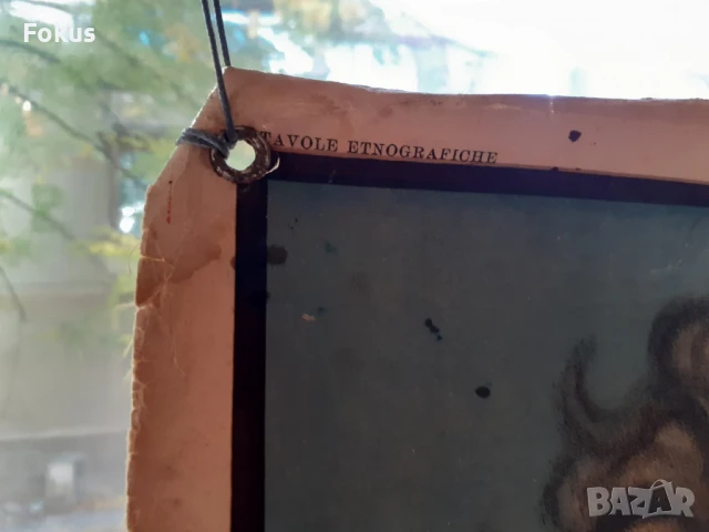 Много стар плакат антропологичен печат Човешките раси 1925г., снимка 5 - Антикварни и старинни предмети - 51169546