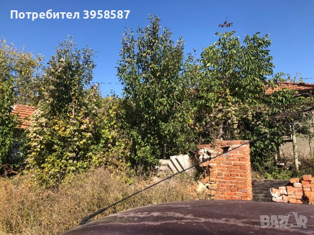 Каща, снимка 3 - Къщи - 43911255