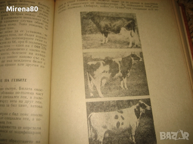 Генетика - 1976 г., снимка 6 - Специализирана литература - 52337547