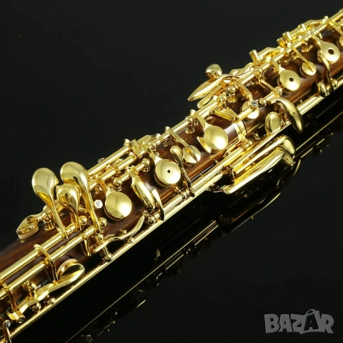 Професионален Обой Rochix RHG13, полуавтоматична система, С строй, снимка 6 - Духови инструменти - 52446926