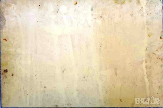 ПРОДАВАМ СТАРА БЪЛГАРСКА МАСЛЕНА КАРТИНА - МЕНЧЕ С ЦВЕТЯ/НИКОЛАЙ ИЛИЕВ, снимка 3 - Картини - 43671651