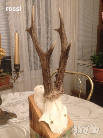 Немски трофей сръндак. Документ.