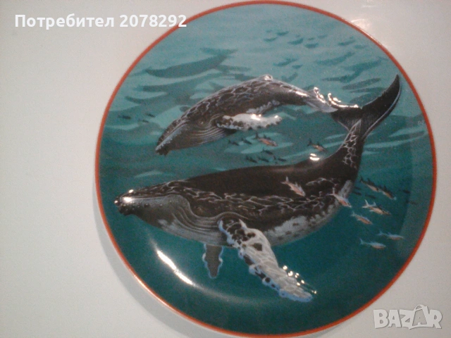 Комплект колекционерски чинии за стена, снимка 5 - Декорация за дома - 53363911