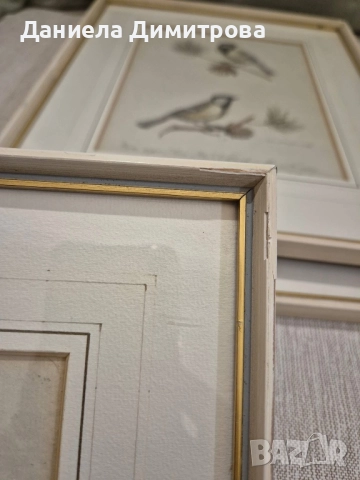 Три рамкирани принта с красиви птици, снимка 9 - Картини - 52466840