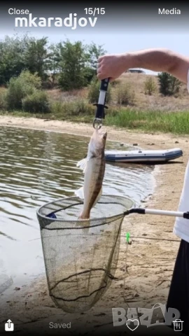 Дивата Билкова Ферма - Брези Логодаж, снимка 11 - Вили - 50807924