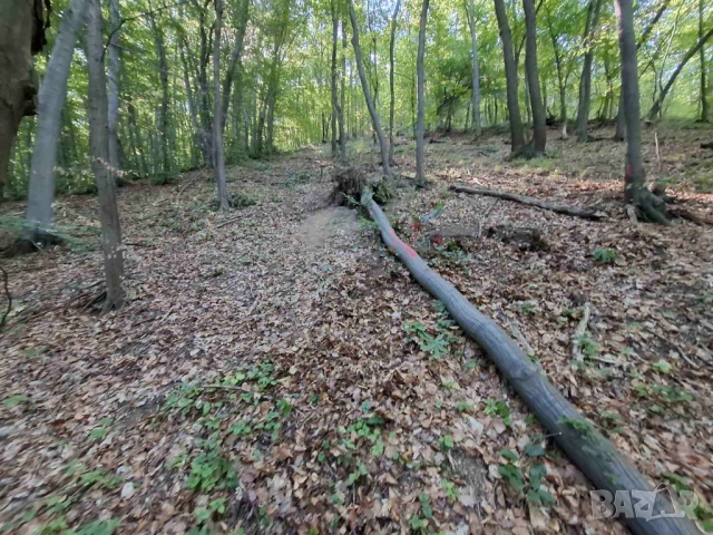  Продават се горски парцели в гр.Банкя, снимка 3 - Парцели - 51550899