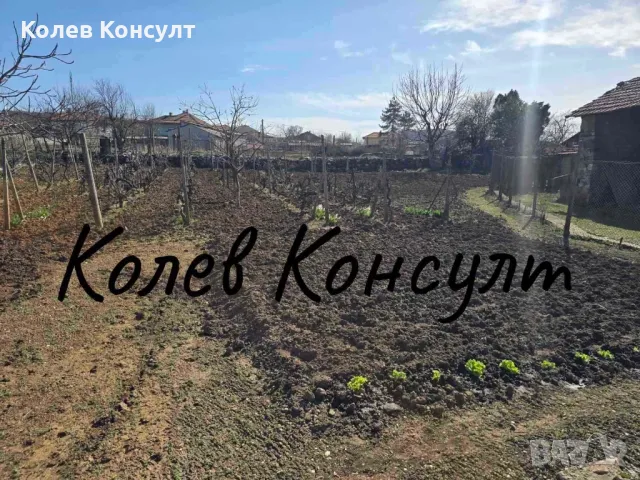 Продавам едноетажна къща в село Крепост , снимка 14 - Къщи - 49511853