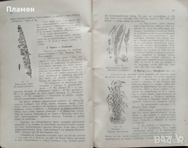 Полски култури (Частно земеделие) Ат. Халовъ, снимка 3 - Антикварни и старинни предмети - 38787044