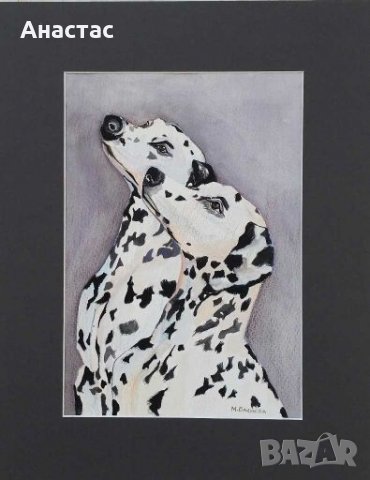 Далматинци , снимка 2 - Картини - 28320838
