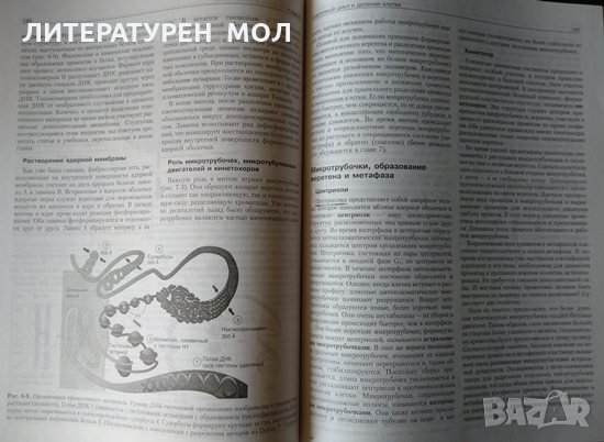 Молекулярная биология клетки. Руководство для врачей 2006 г., снимка 5 - Специализирана литература - 33392990