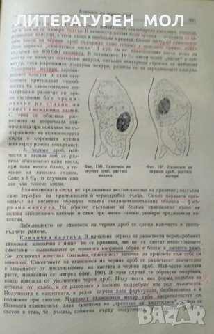 Частна хирургия. А. Г. Бржозовски 1953 г., снимка 4 - Специализирана литература - 27597490