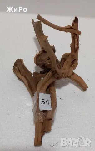 Корен от Азалия /декорация/ 54, снимка 1