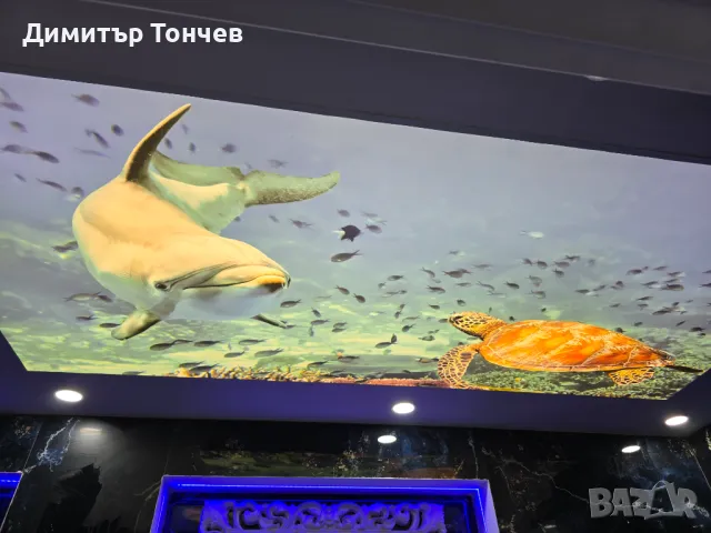 Опънат Таван в Хол, Спланя, Баня Пловдив и София , снимка 8 - Други ремонти - 46199913