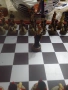 Само за ценители на шаха, снимка 2