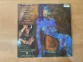 Грамофонна плоча 12”, снимка 2