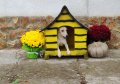 Къща за куче - Маша и Мечокът, Къщи за кучета ,Колиби за кученца, снимка 5