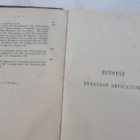 Книга от 1893 година-История на немската литература, снимка 4 - Антикварни и старинни предмети - 28379514
