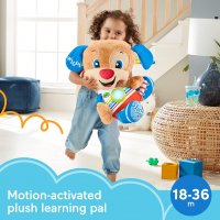 Fisher Price фишър прайс Голямо Образователно Музикално Плюшено Куче, снимка 4 - Музикални играчки - 39404084