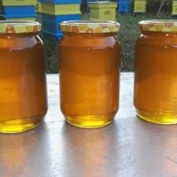 100% Чист пчелен мед от производител Горски букет!, снимка 1 - Пчелни продукти - 28929399