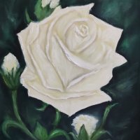 Бяла роза маслена картина, снимка 1 - Картини - 34679639