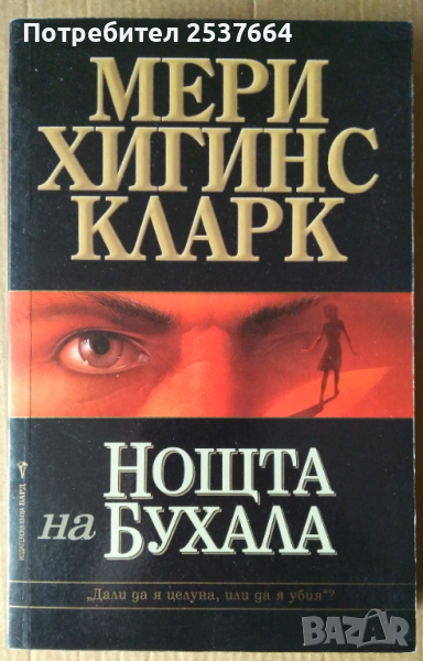 Нощта на бухала  Мери Хигинс Кларк, снимка 1