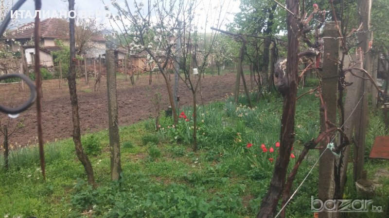 House for Sale in Rabisha, Vidin