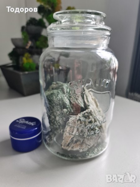 Кристали Актинолит, снимка 1