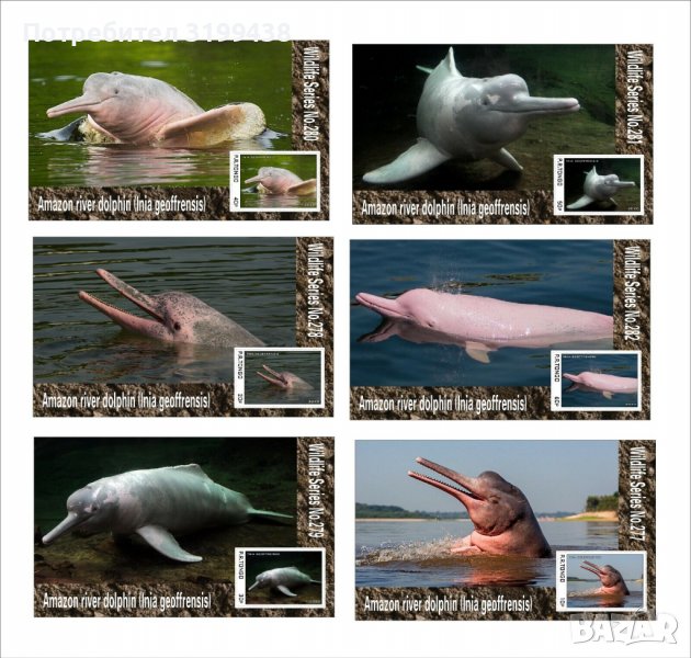 Чисти блокове Фауна Амазонски речен делфин 2020 от Тонго, снимка 1