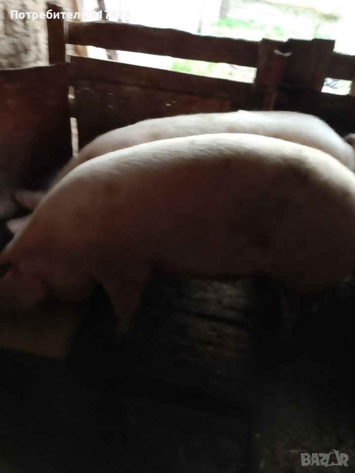 продава се Ямбол , снимка 1