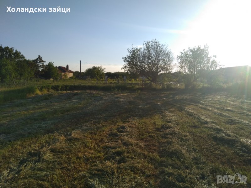 Продавам парцел в с. Ветрино с площ 2.190дка , снимка 1