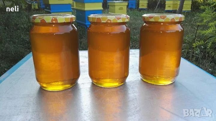 100% Чист пчелен мед от производител Горски букет!, снимка 1