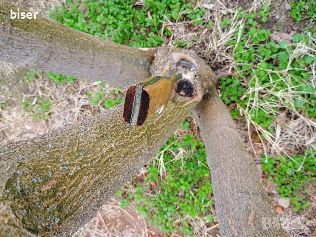 МАСИВЕН НОЖ , снимка 7 - Ножове - 49660037