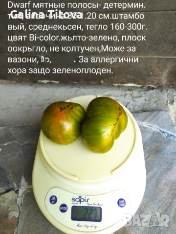 Продавам семена домати 55 сорта, снимка 3 - Сортови семена и луковици - 53097136