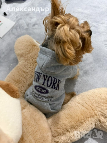 Якета за малки породи кучета, снимка 5 - За кучета - 53423515