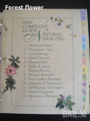 Книга/Класьор - The Complete Guide to Natural Healing, снимка 2 - Енциклопедии, справочници - 37516127