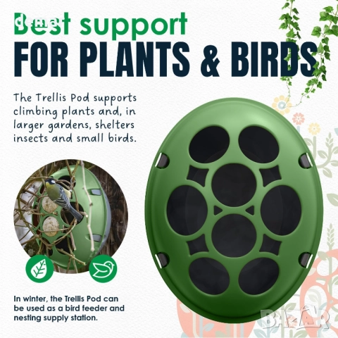 eggologic Trellis Pod - Вертикална градинска саксия за увивни растения, снимка 5 - Саксии и кашпи - 51755865