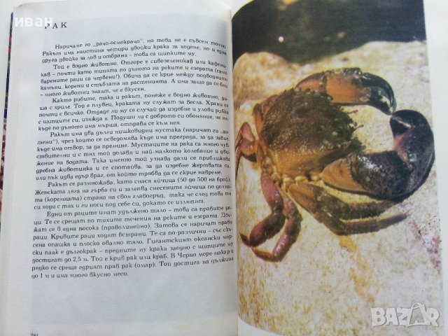 Албум за растения и животни - Н.Боев,С.Петров,П.Кръстев - 1976г., снимка 8 - Енциклопедии, справочници - 40616804