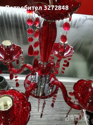 Полилей /червен , снимка 11 - Полилеи - 43117438