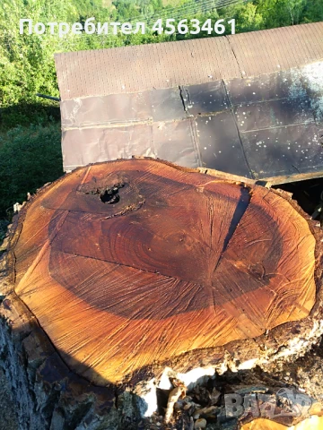 Продавам дървен материал ОРЕХ , снимка 3 - Други - 51354034