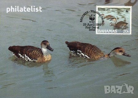 Бахамски о-ви 1988 - 4 броя Карти Максимум - WWF, снимка 2 - Филателия - 38788333