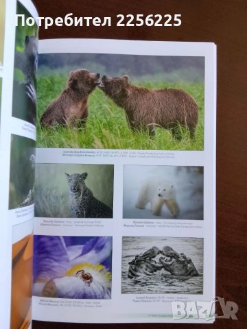 Девети международен фото салон Пловдив 2022г, снимка 6 - Енциклопедии, справочници - 50695939